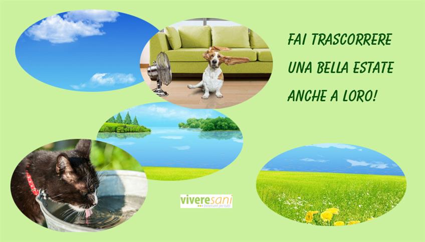 Cani e gatti al riparo dalle temperature hot Cani e gatti al riparo dalle temperature hot